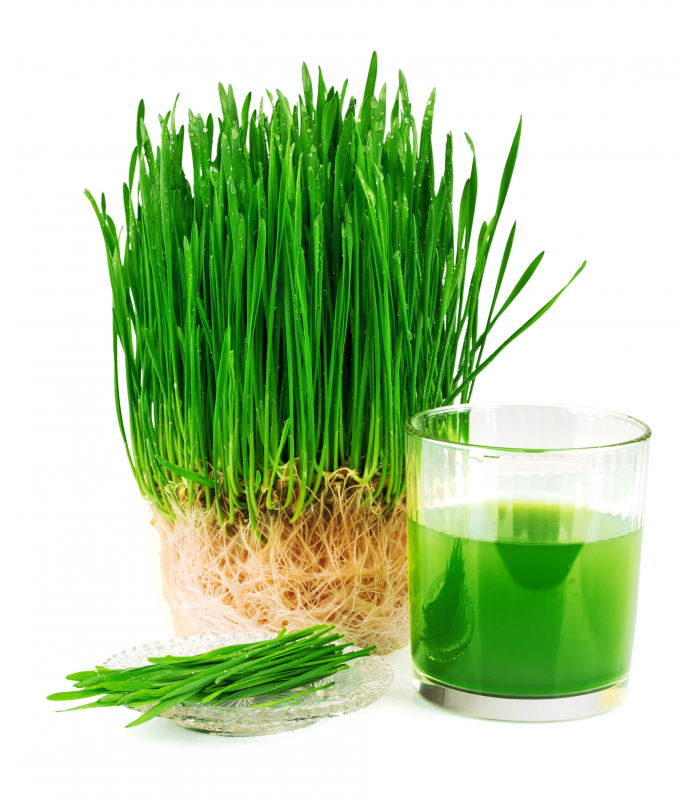 Nutritional Facts about Wheat grass juice - Nattfru