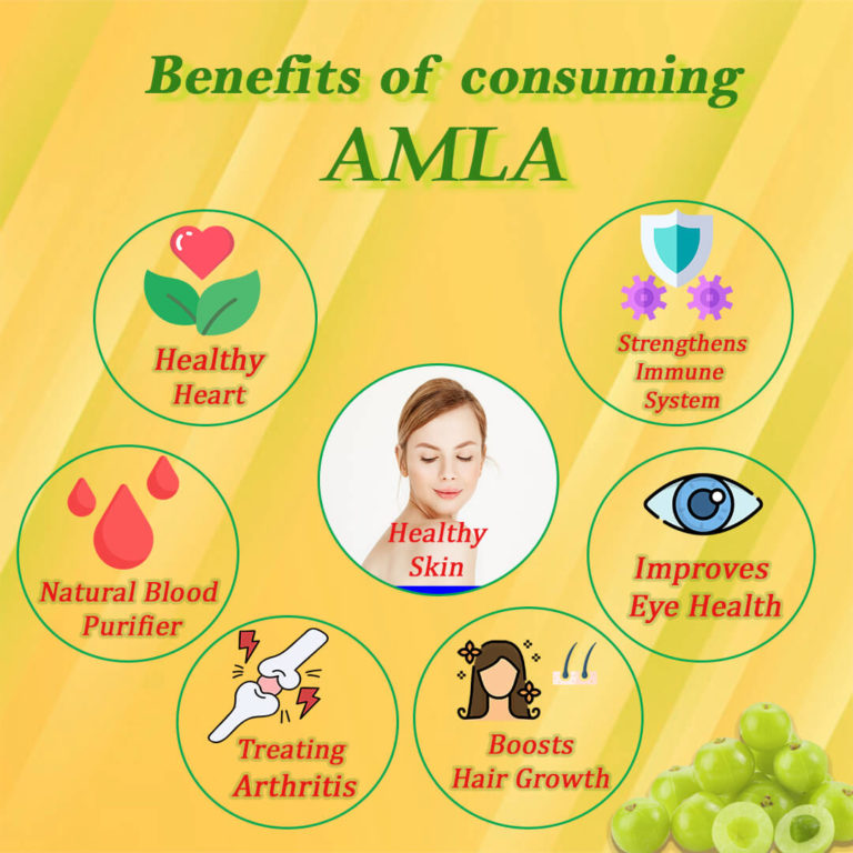 7 BENEFITS OF NATURAL VITAMIN C AMLA POWDER - Nattfru